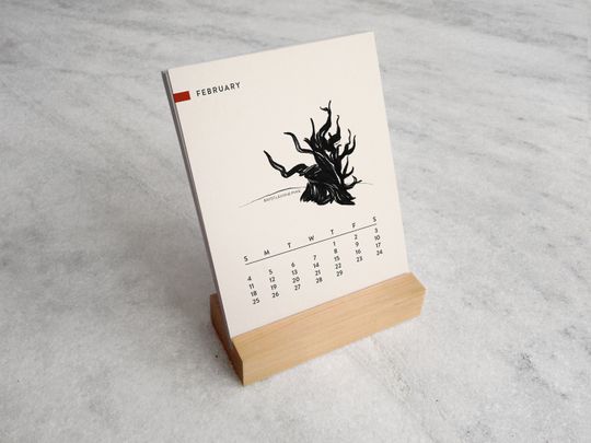 Trees 2024 Desk Calendar | Desk Calendar 2024