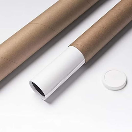 Red Hot Chili Peppers Tour 2022 Poster