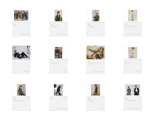 Tom Holland Vol.2 - 2025 Wall Calendar