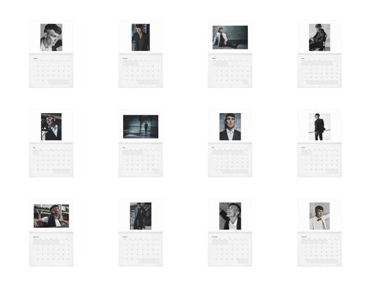 Cillian Murphy Vol.2 - 2024 Wall Calendar