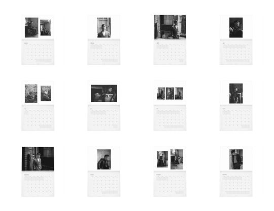 Cillian Murphy Vol.1 - 2025 Wall Calendar