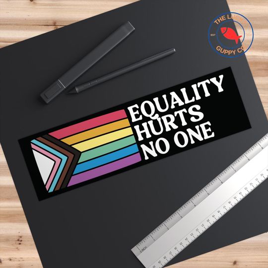 Equality Hurts No One Bumper Sticker, Pro Democracy Car Decal