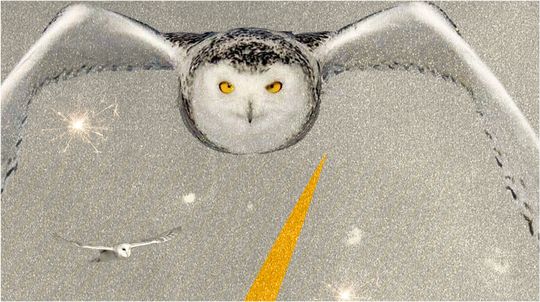 HARRY POTTER- Harry Potter poster- Movie Poster