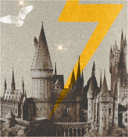 HARRY POTTER- Harry Potter poster- Movie Poster