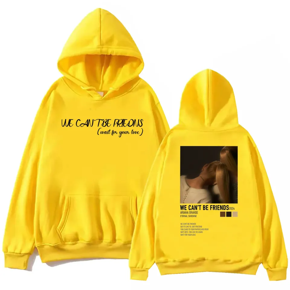 Ariana We Can't Be Friends Hoodie Man Woman, Bruce Springsteen Fans Gift