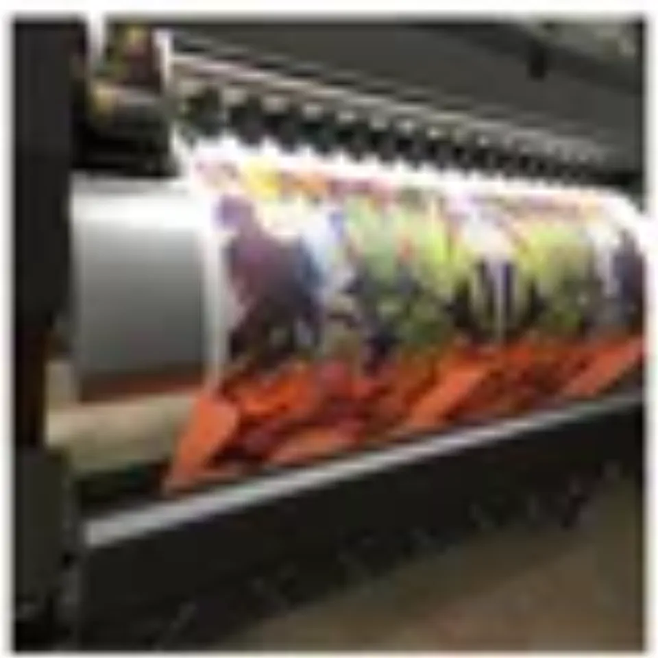 Winnie the Pooh Eeyore Disney  3D Hoodie