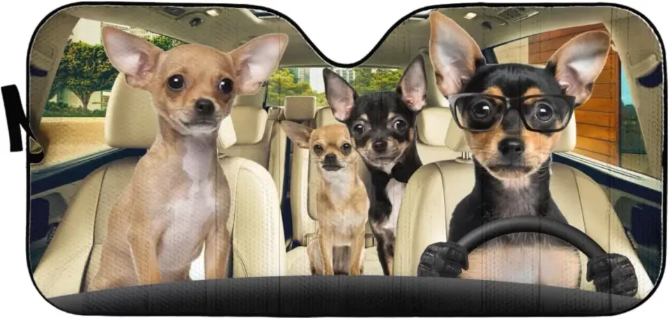 Chihuahua Dog Driver Animal Car Windshield Sun Shade