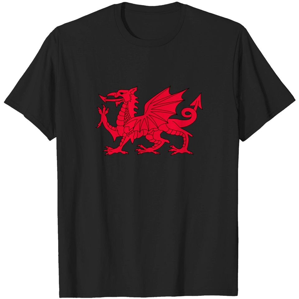 Dragon of Wales Flag Cool Welsh Cymru Flags Men Women Gift T-Shirt