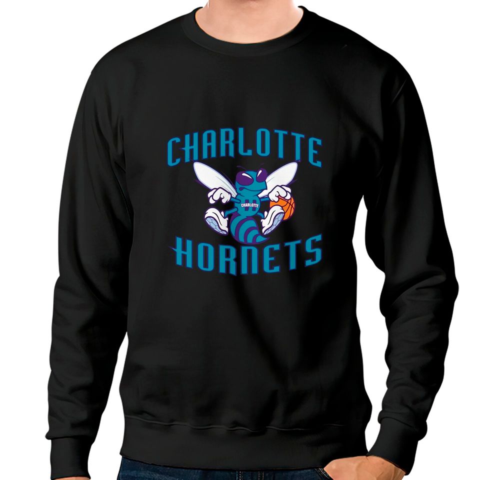 Vintage 90s Charlotte Hornets sweatshirt, Retro Hornets Sweatshirt
