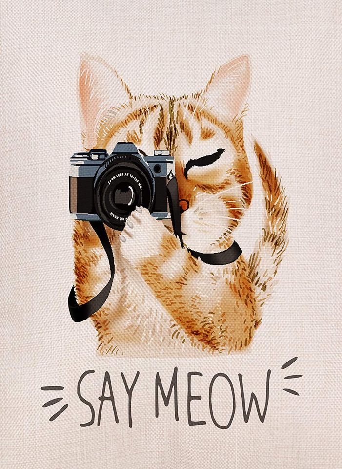 Welcome Cat Garden Flag Meow Slogan with Cartoon Cute Cat Holding Camera