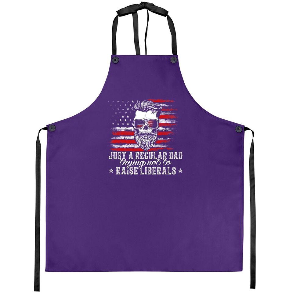 Apron Just A Regular Dad Trying Not To Raise Liberals