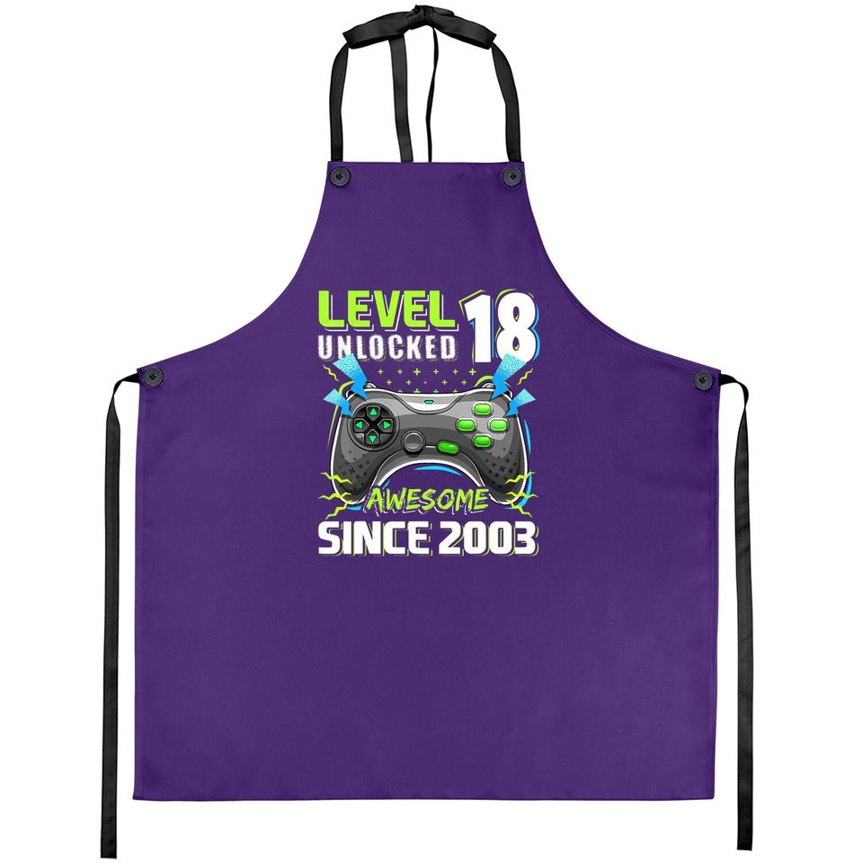 Level 18 Unlocked Awesome 2003 Video Game 18th Birthday Gift Apron