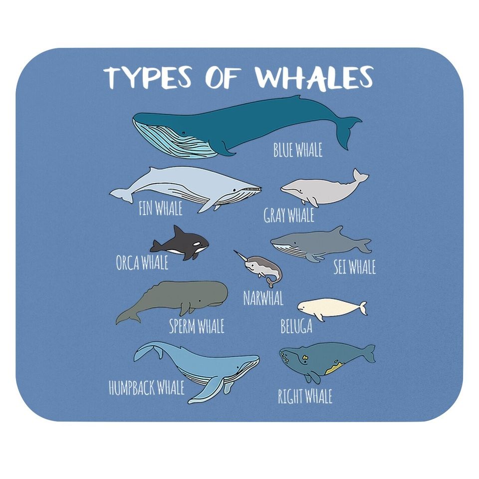 Types Of Whales Cute Ocean Mammals Guide Mouse Pad