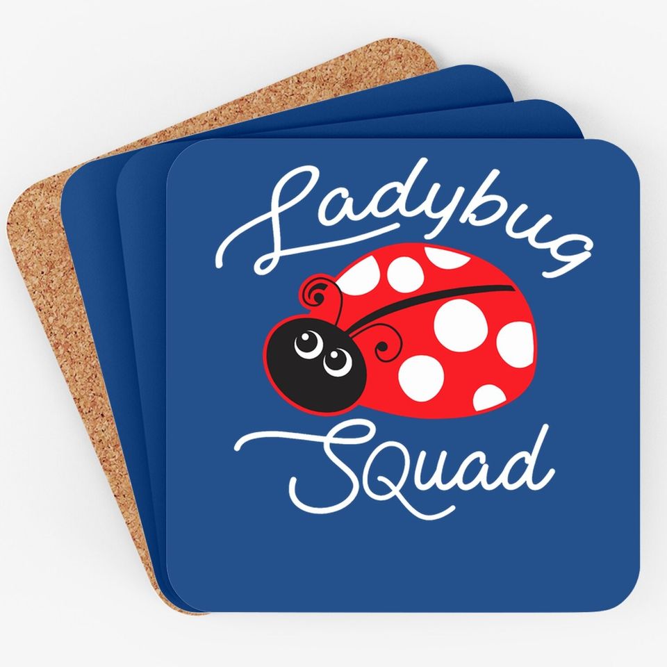 Ladybug Squad Coaster