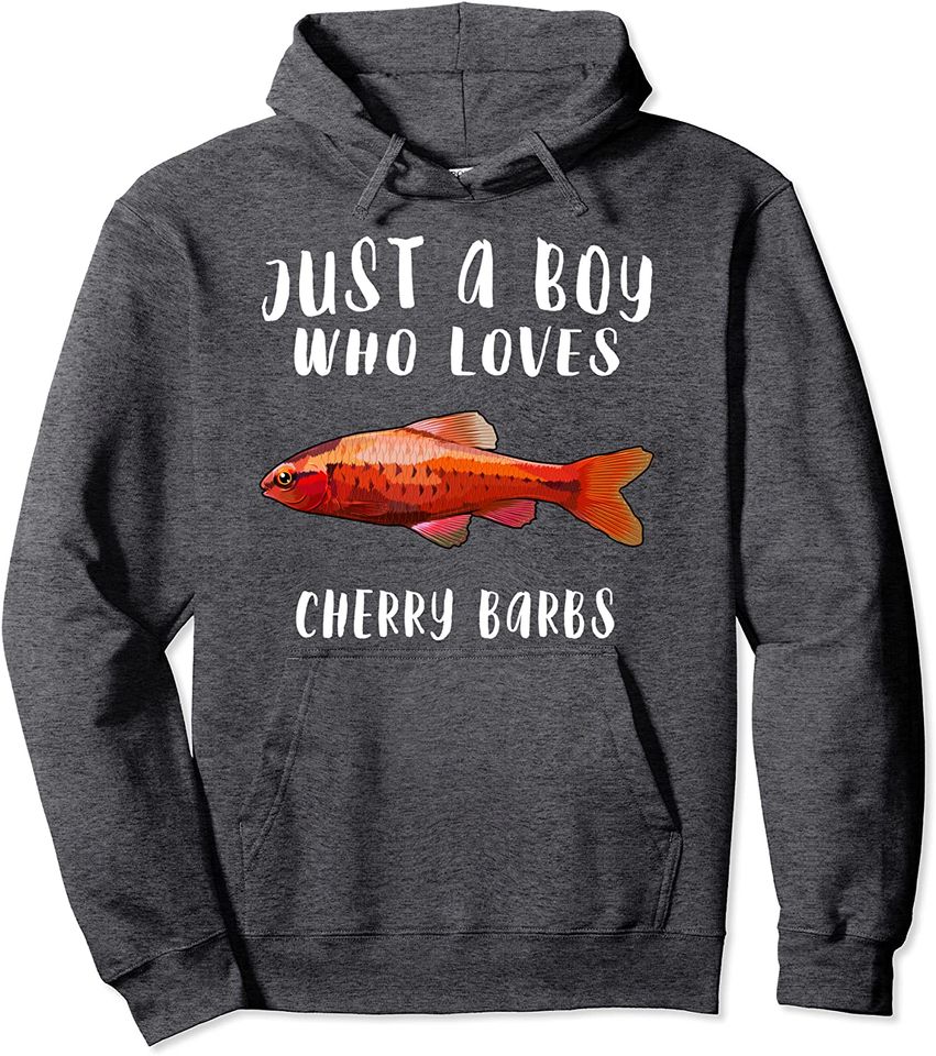 Just A Boy Who Loves Cherry Barb Fish Lover Pullover Hoodie