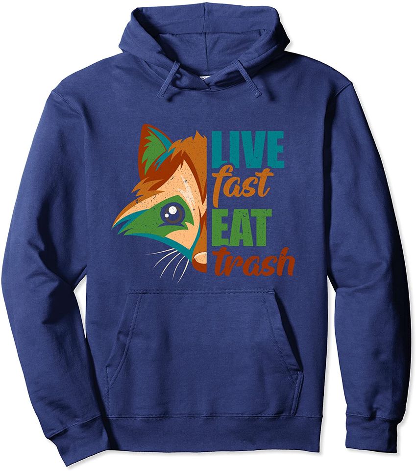 Live fast eat trash Raccoon Camping Pullover Hoodie
