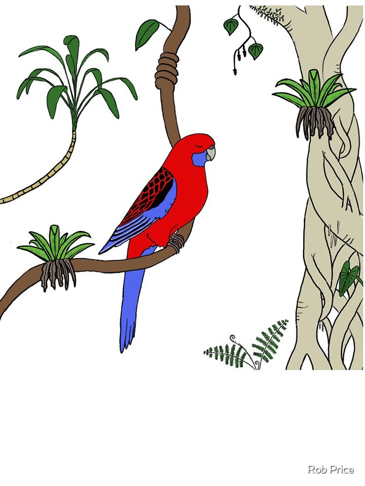 Crimson Rosella Kids T-Shirt