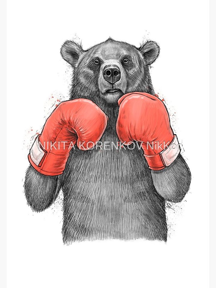 Bear Boxer Canvas
