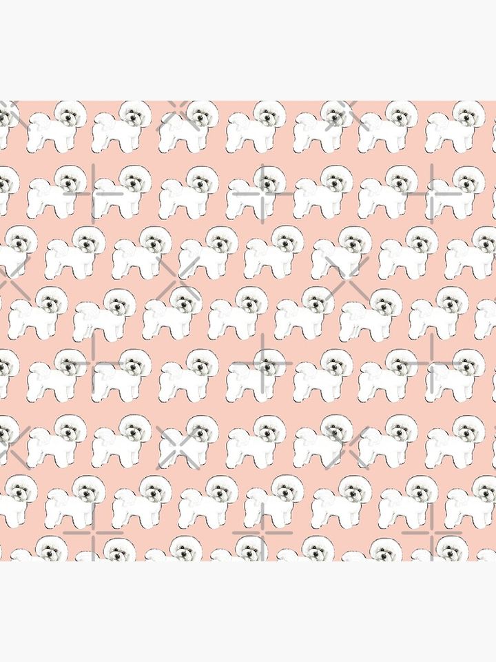 Bichon Frise dogs on Peach Socks