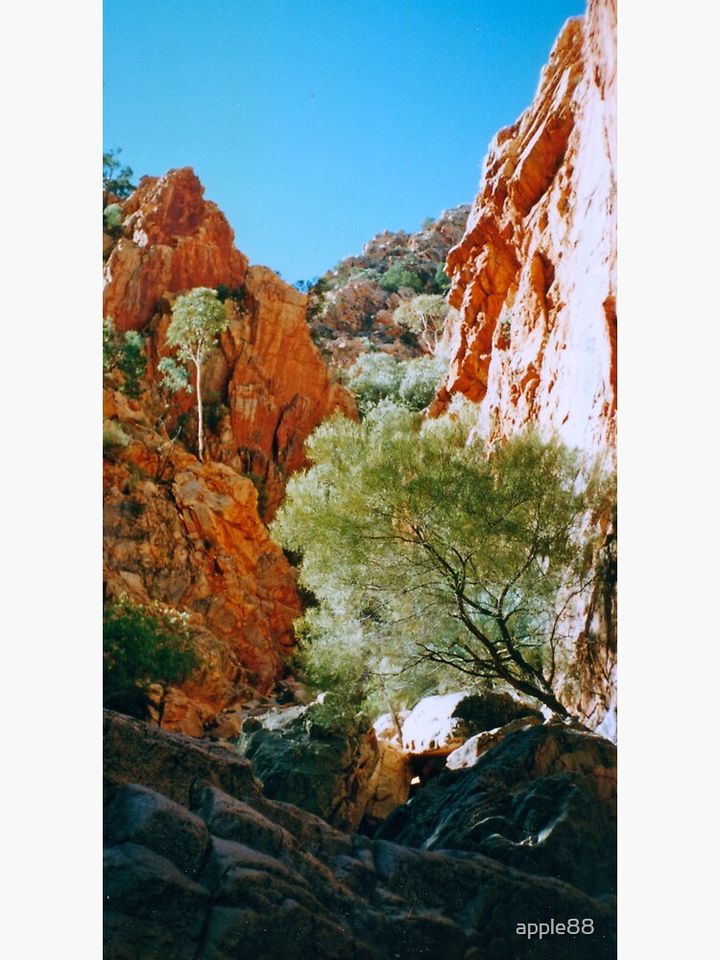 Australian outback- out and about Premium Matte Vertical Poster