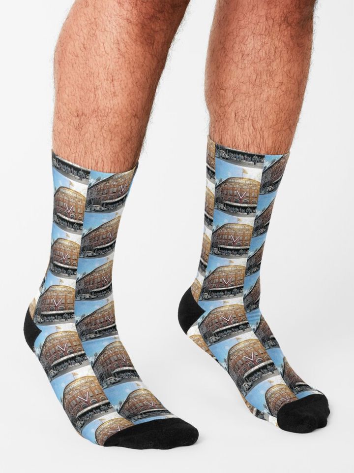 Ebbets Field Art Socks