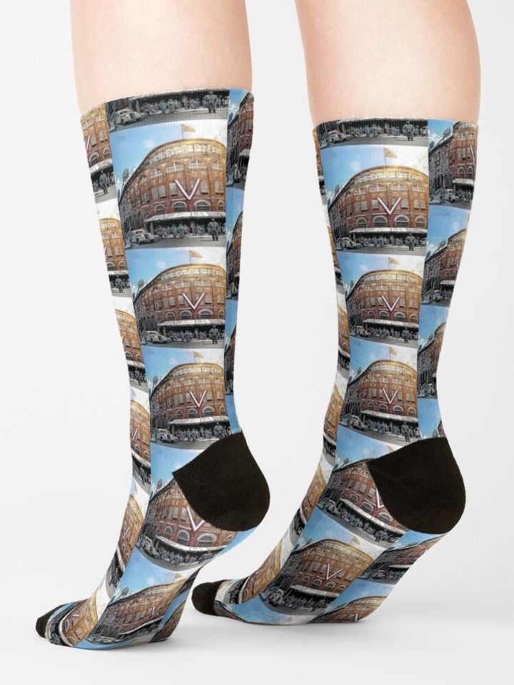 Ebbets Field Art Socks