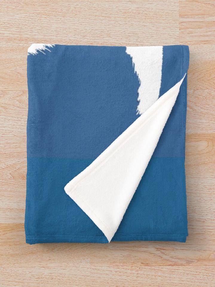 Monsters Inc  Throw Blanket