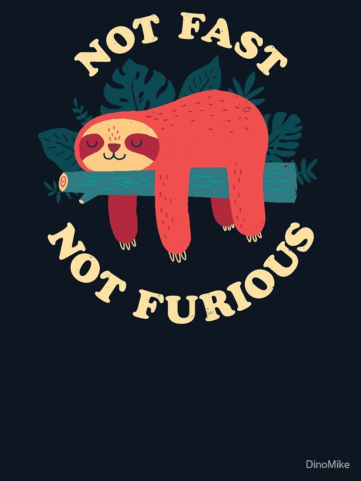 Not Fast, Not Furious Pullover Sweatshirt