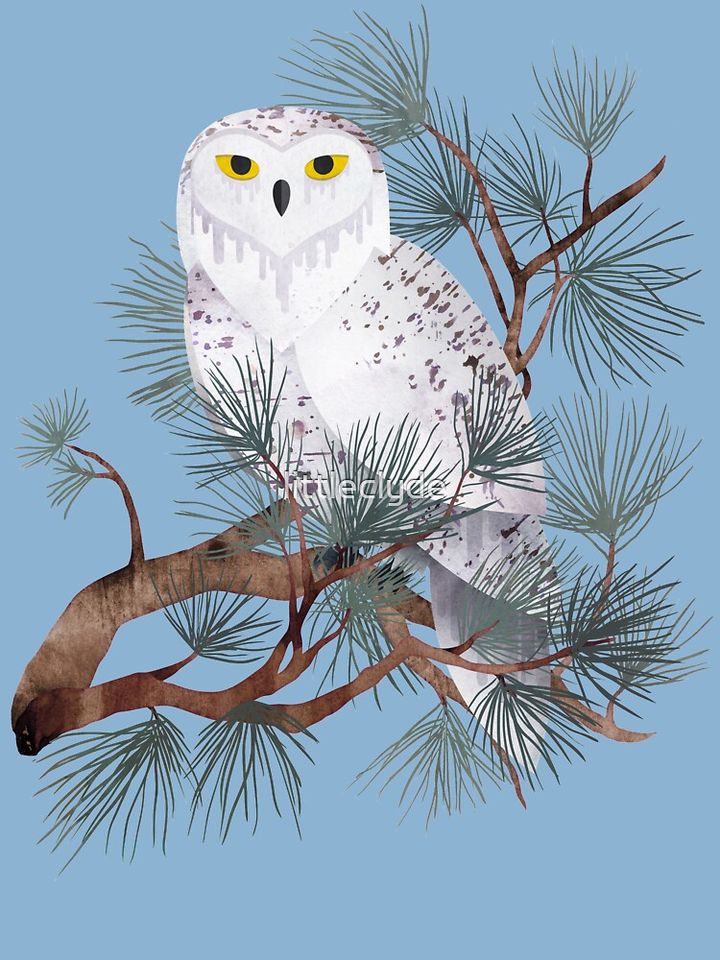 Snowy Kids T-Shirt
