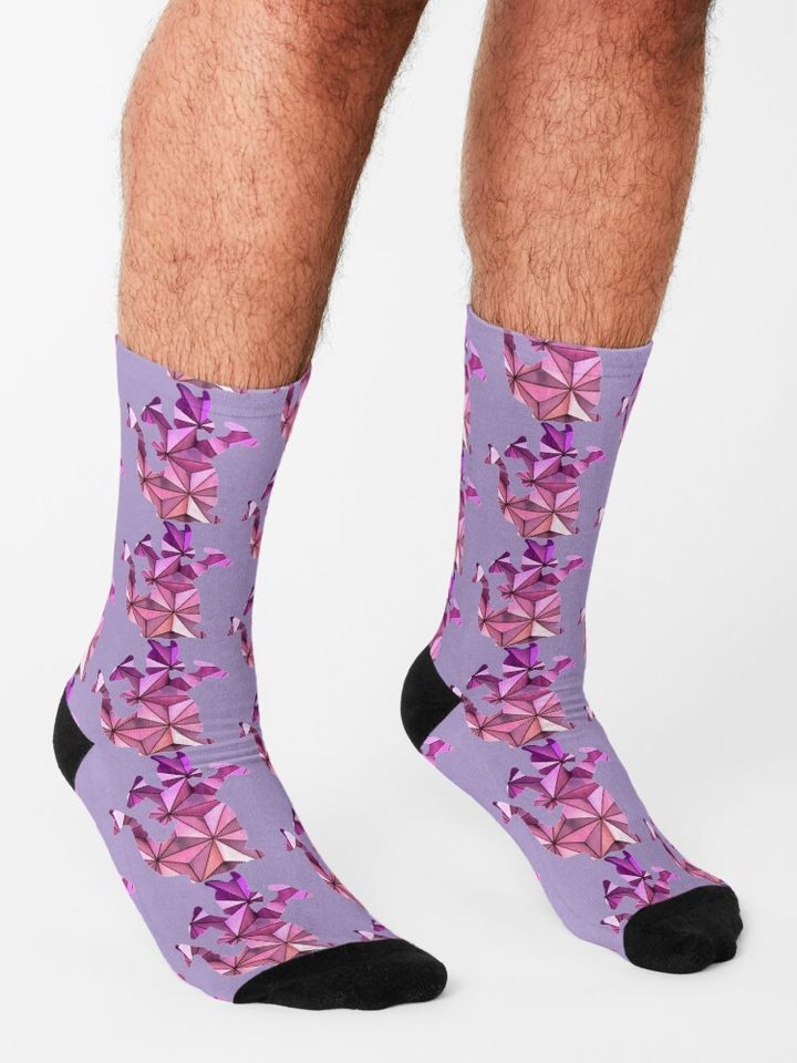 Figment Socks