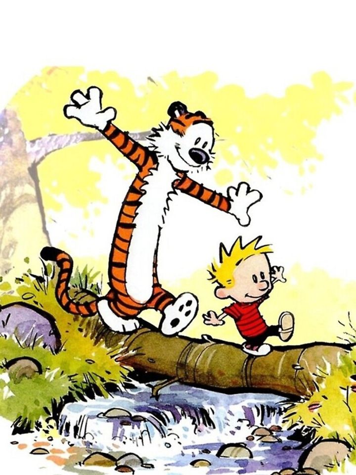 calvin and hobbes iPhone Case