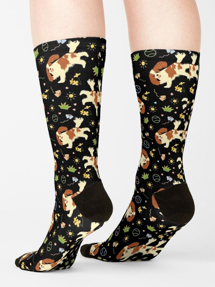 Playing Cavalier King Charles Spaniel - Black Socks