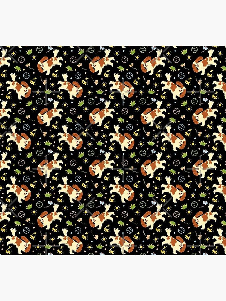Playing Cavalier King Charles Spaniel - Black Socks