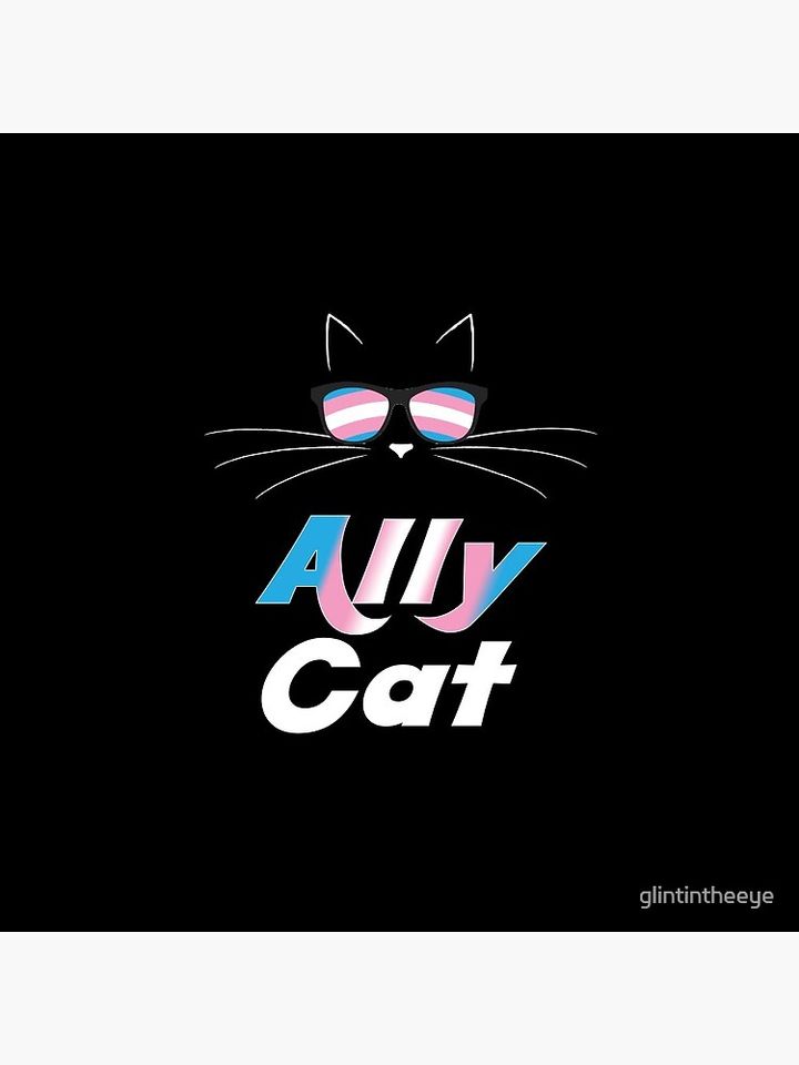 Trans Ally Cat Gay Pride Kitty Trans Pride Pin Button
