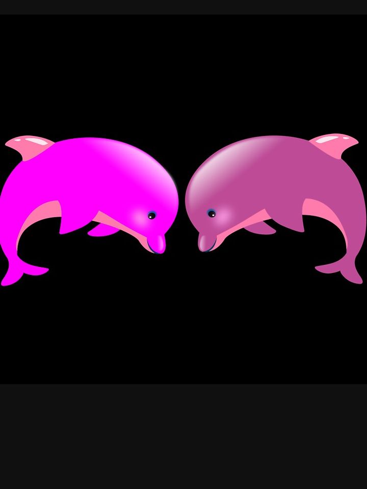 Pink Dolphin Tank Tops