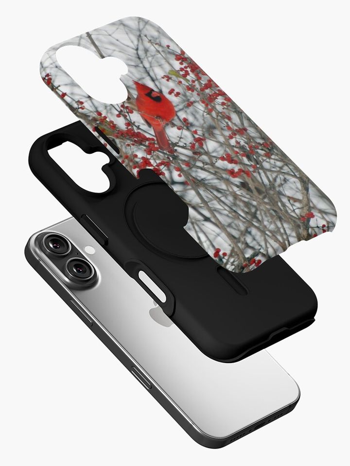 Cardinal  iPhone Case