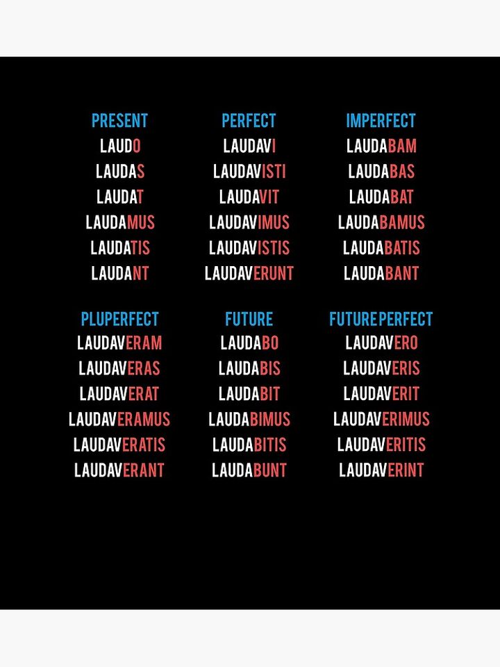 Latin Verbs Conjugation - Latin Language Premium Matte Vertical Poster