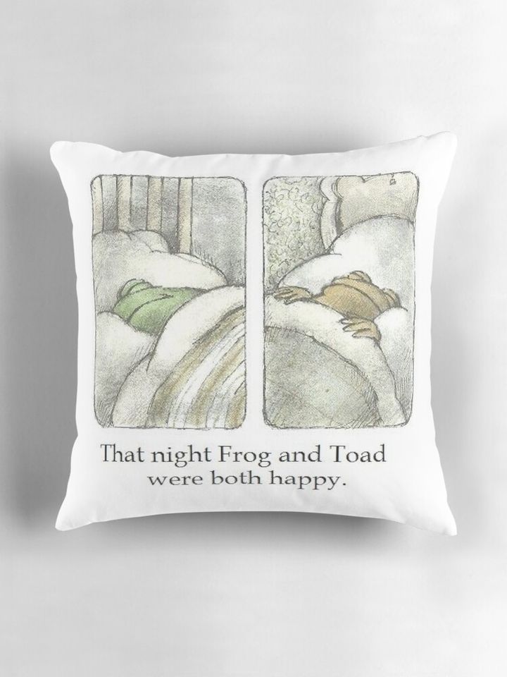 That Night Frog and Toad Were Both Happy Pillow