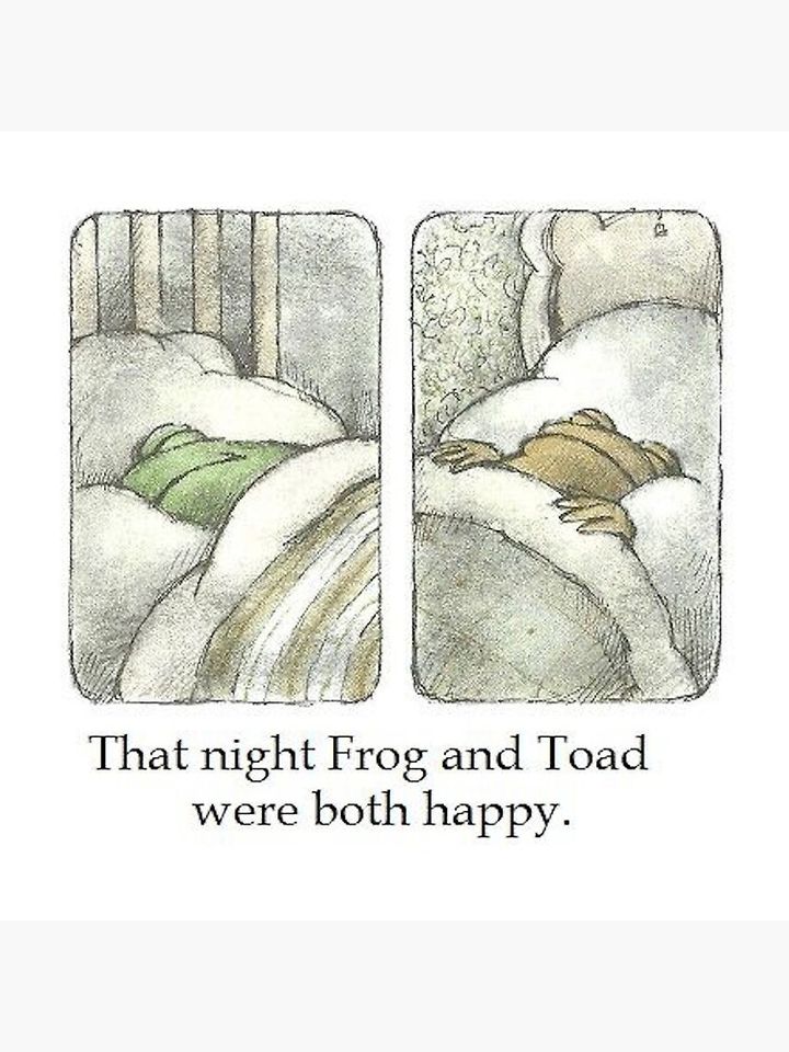 That Night Frog and Toad Were Both Happy Pillow