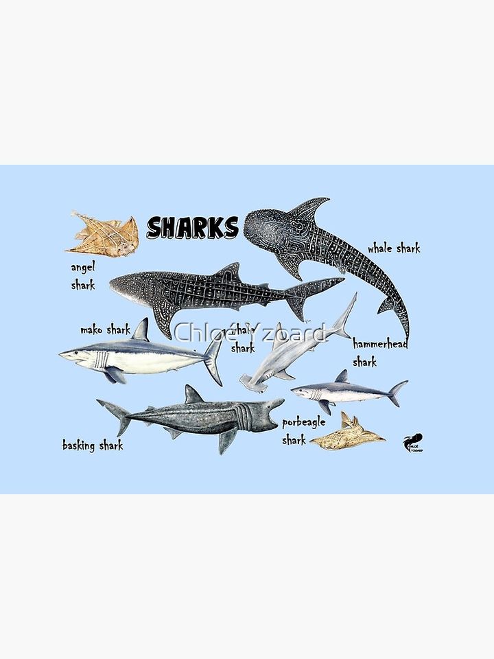 Sharks for shark lovers Bath Mat