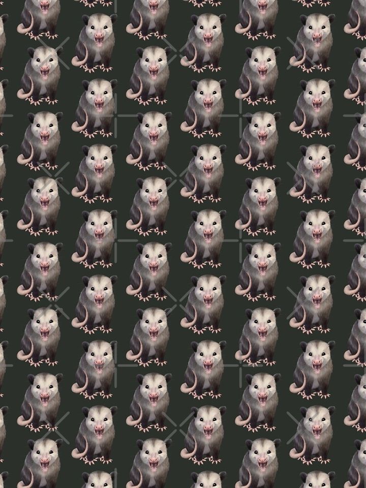 Happy Possum Leggings