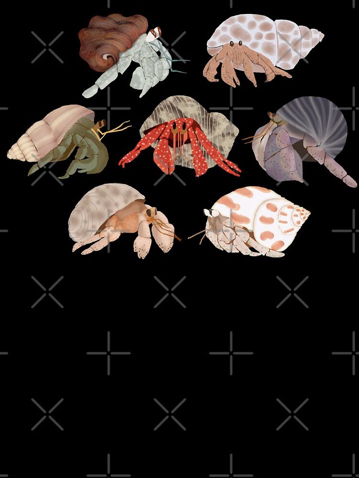 Hermit Crabs Pattern Kids T-Shirt