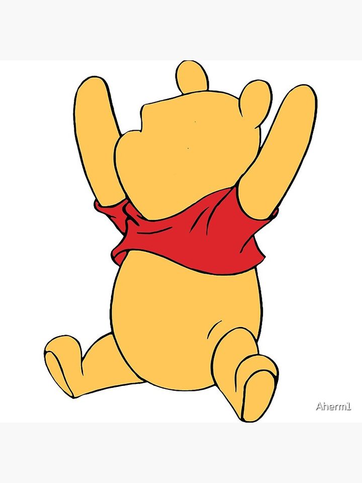 Pooh Bear Pillow