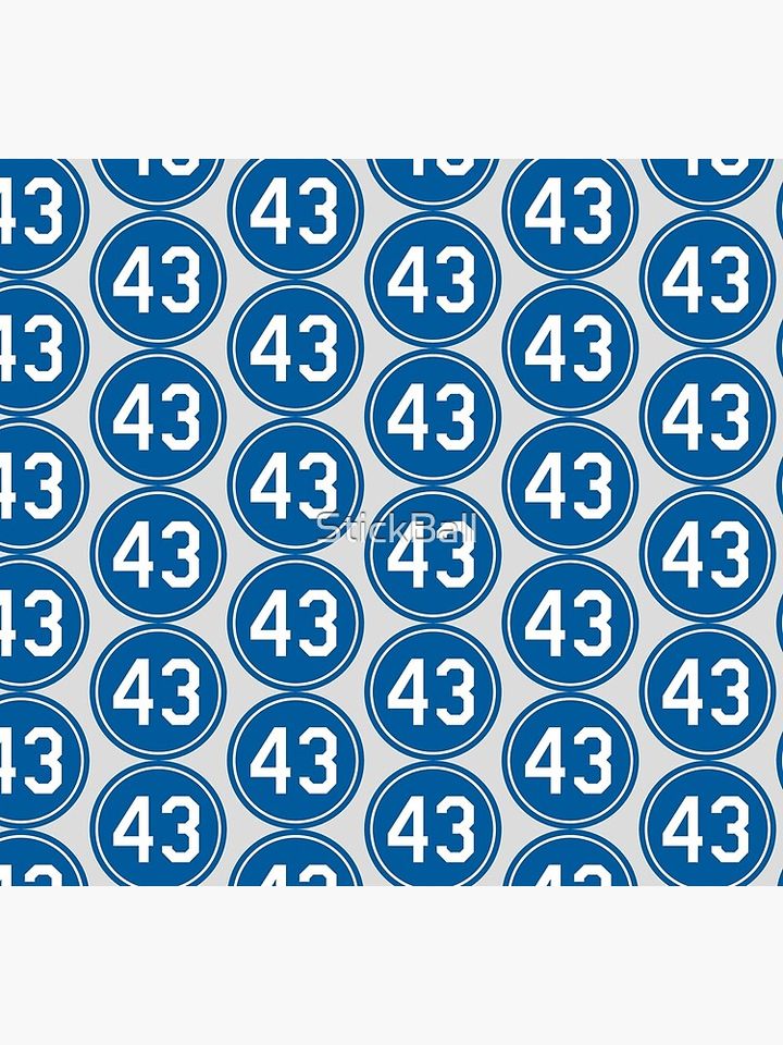 Raul Mondesi #43 Jersey Number Socks