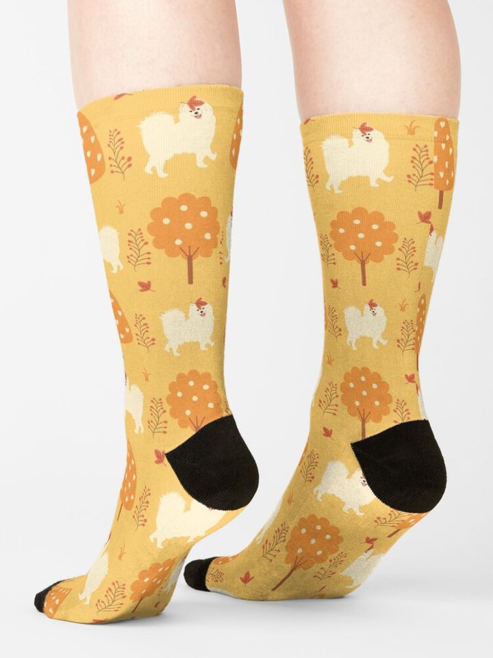 Samoyed Dog in Autumn Socks
