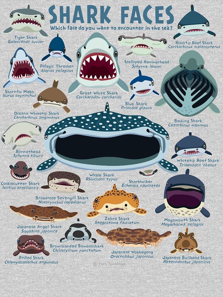 Shark Faces Kids T-Shirt