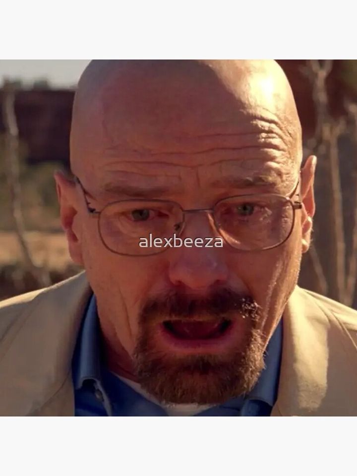 Walter White Meme Pillow