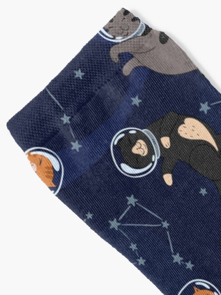 Space Meows Socks