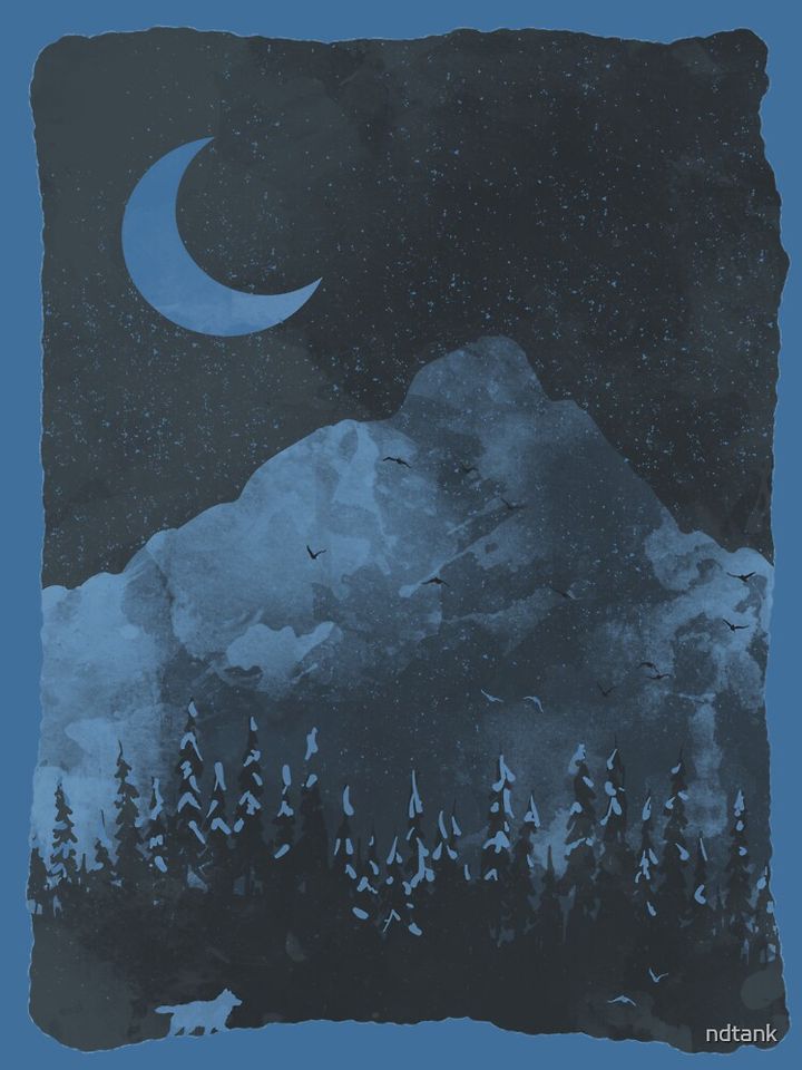 Winter Finds the Wolf... Hoodie