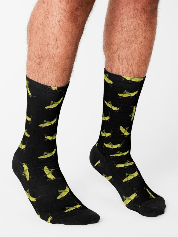Grasshopper cricket insect. Grasshopper bug. Socks